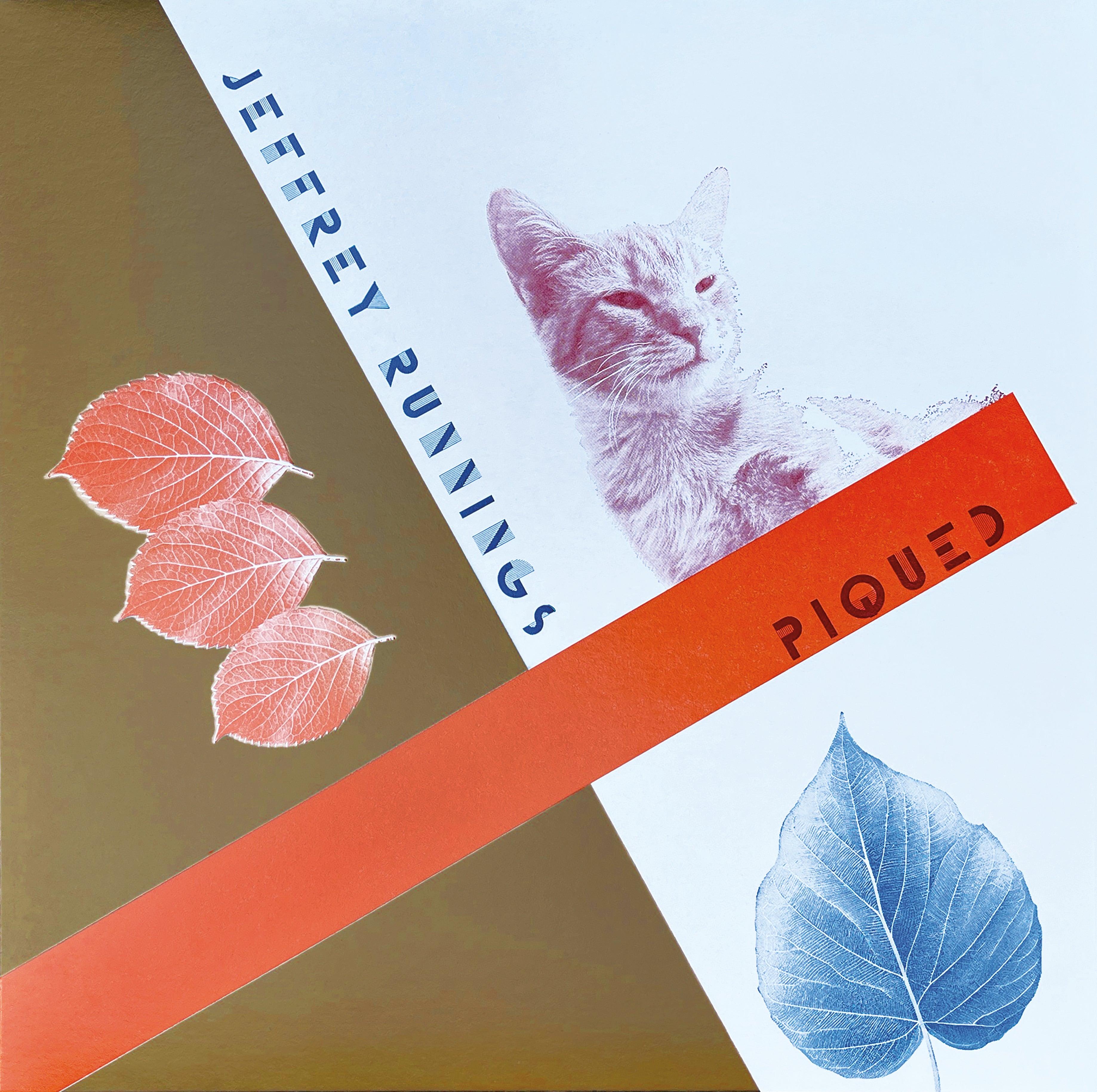 JEFFREY RUNNINGS  -  Piqued double LP on Black Vinyl image 1