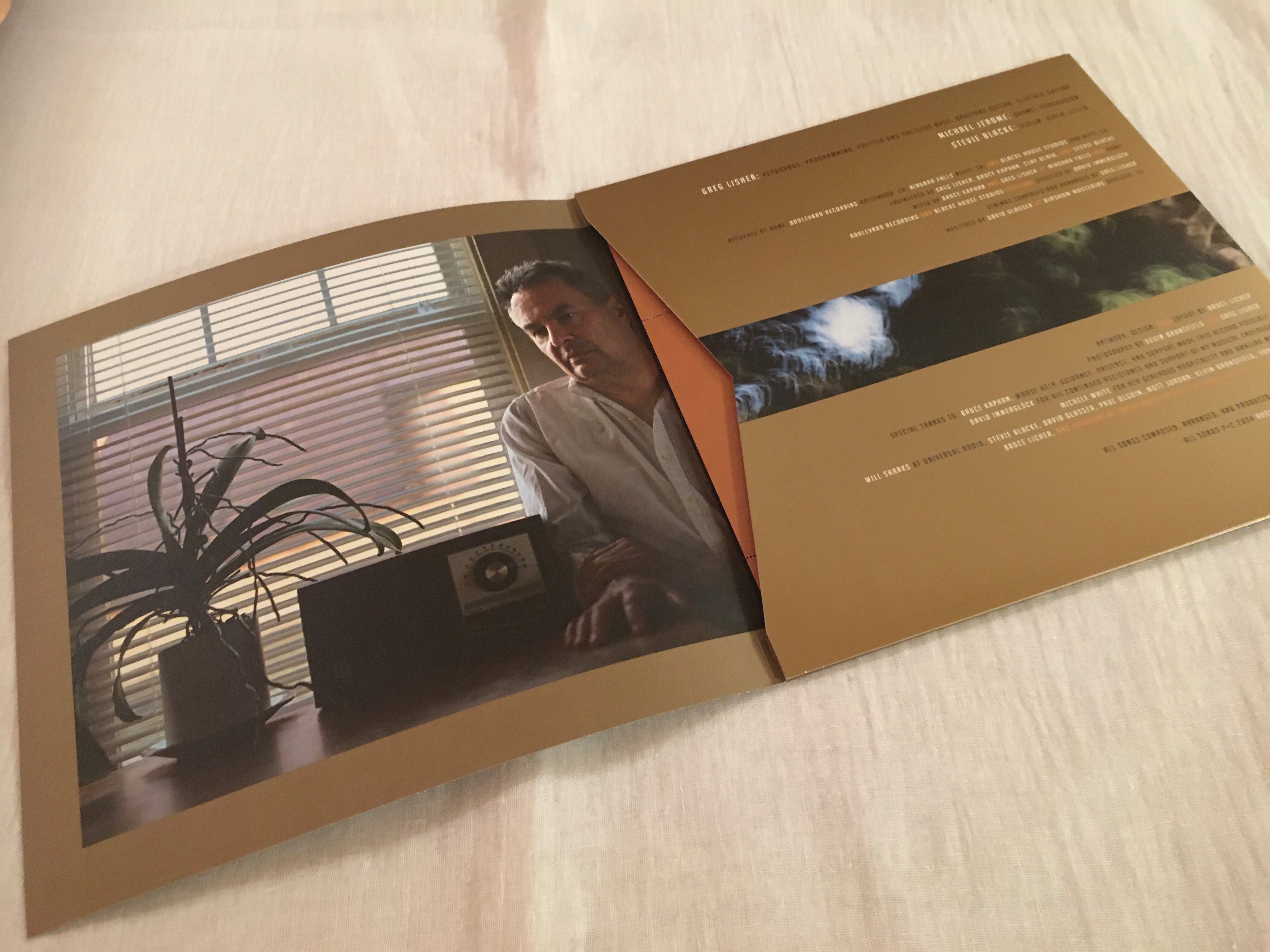 GREG LISHER - Underwater Detection Method -  Clear Vinyl LP image 4