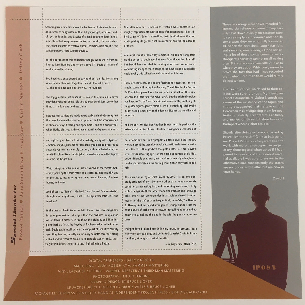 DAVID J - Tracks From the Attic -  Brown Vinyl numbered edition 3LP set image 5