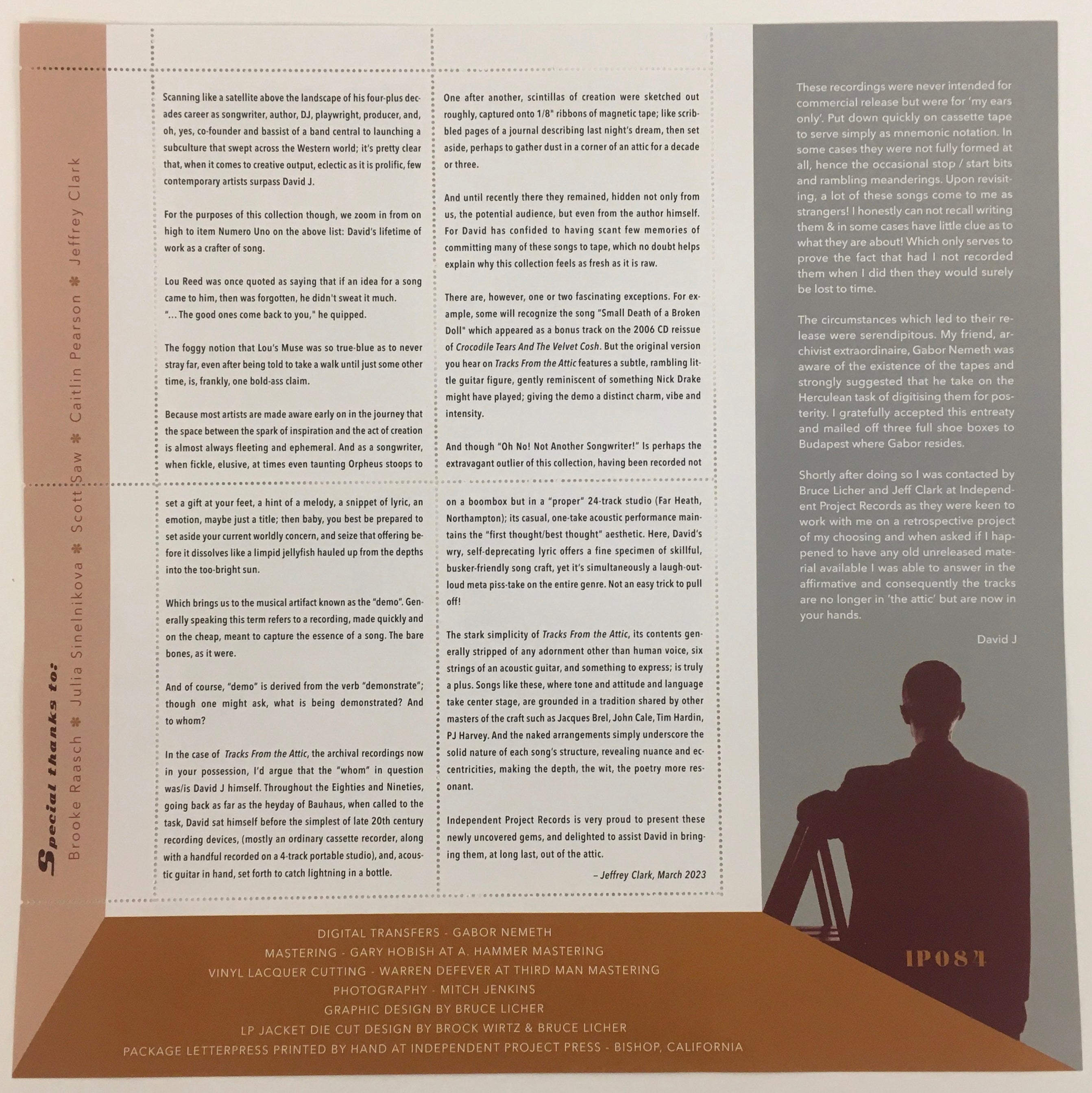 DAVID J - Tracks From the Attic -  Brown Vinyl numbered edition 3LP set image 5