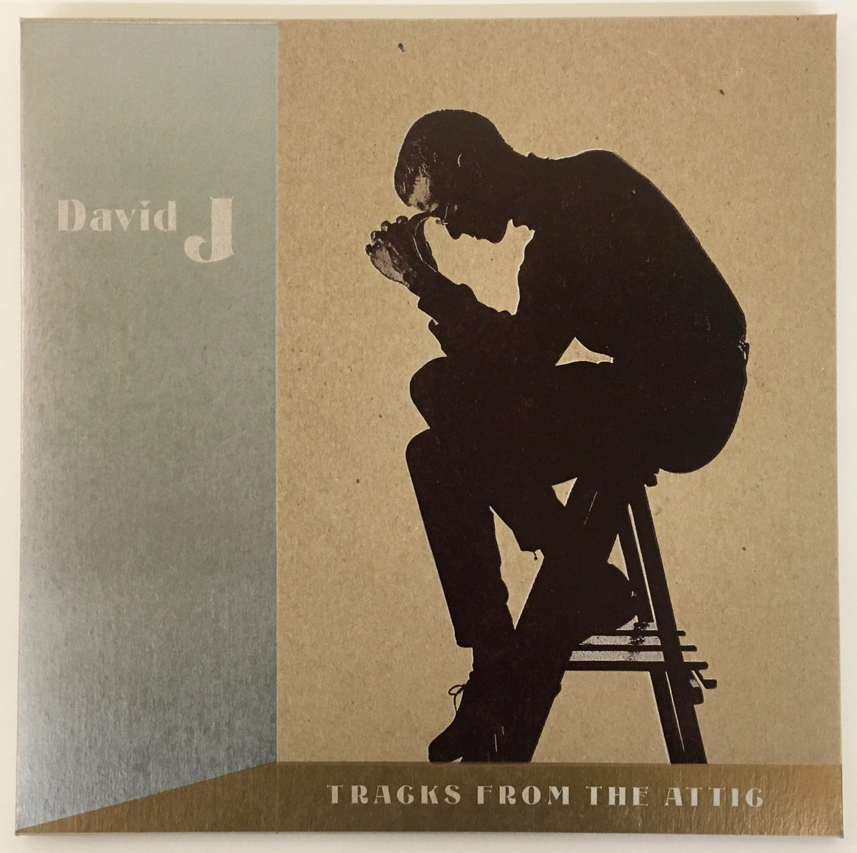 DAVID J - Tracks From the Attic -  Brown Vinyl numbered edition 3LP set image 7
