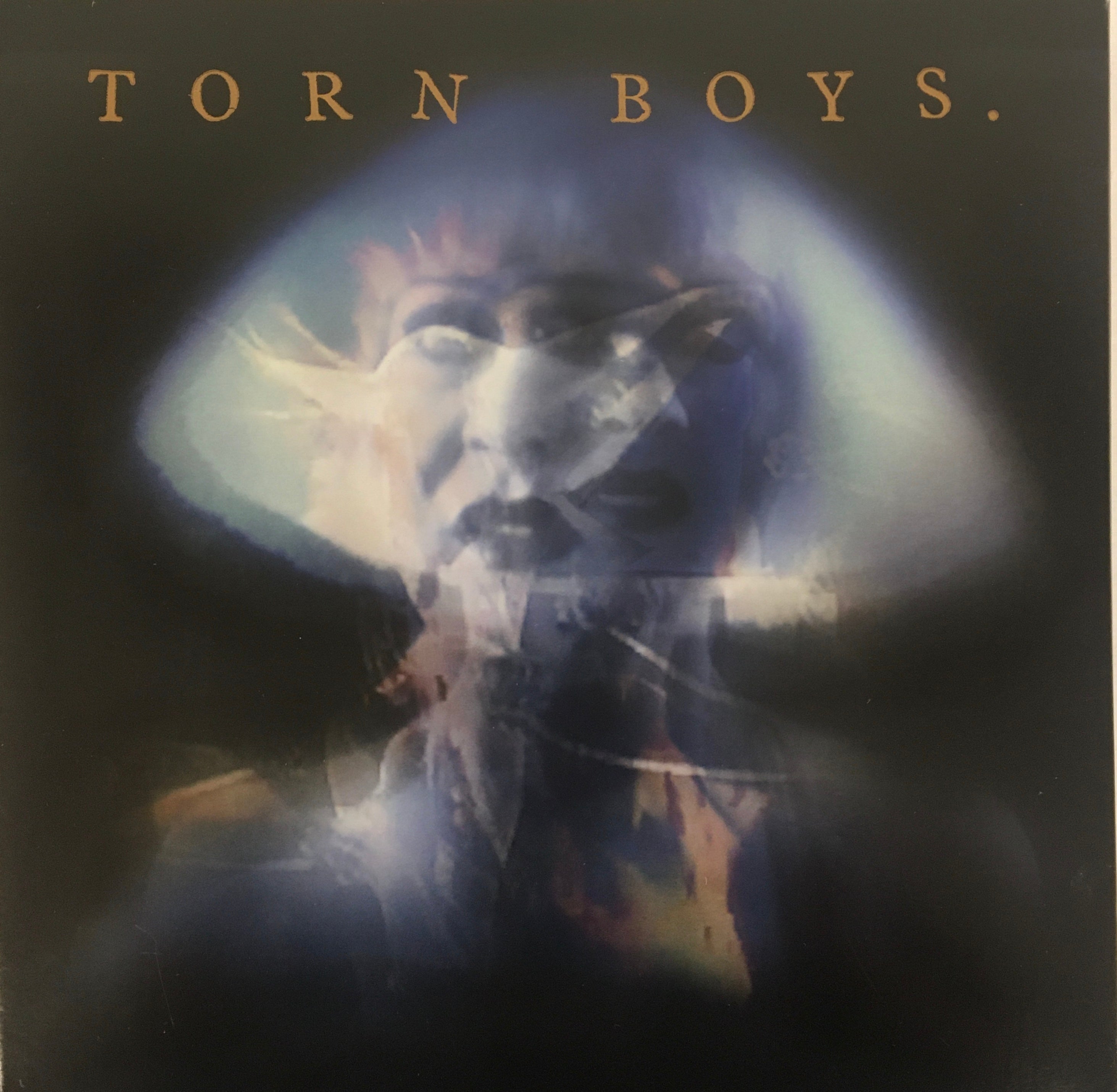 TORN BOYS - 1983 black vinyl LP + bonus DVD image 0