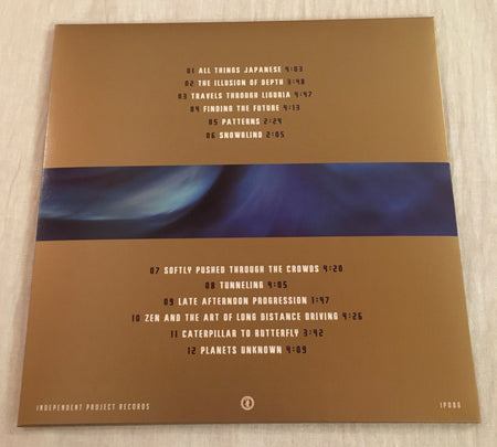 GREG LISHER - Underwater Detection Method -  Black Vinyl LP image 4