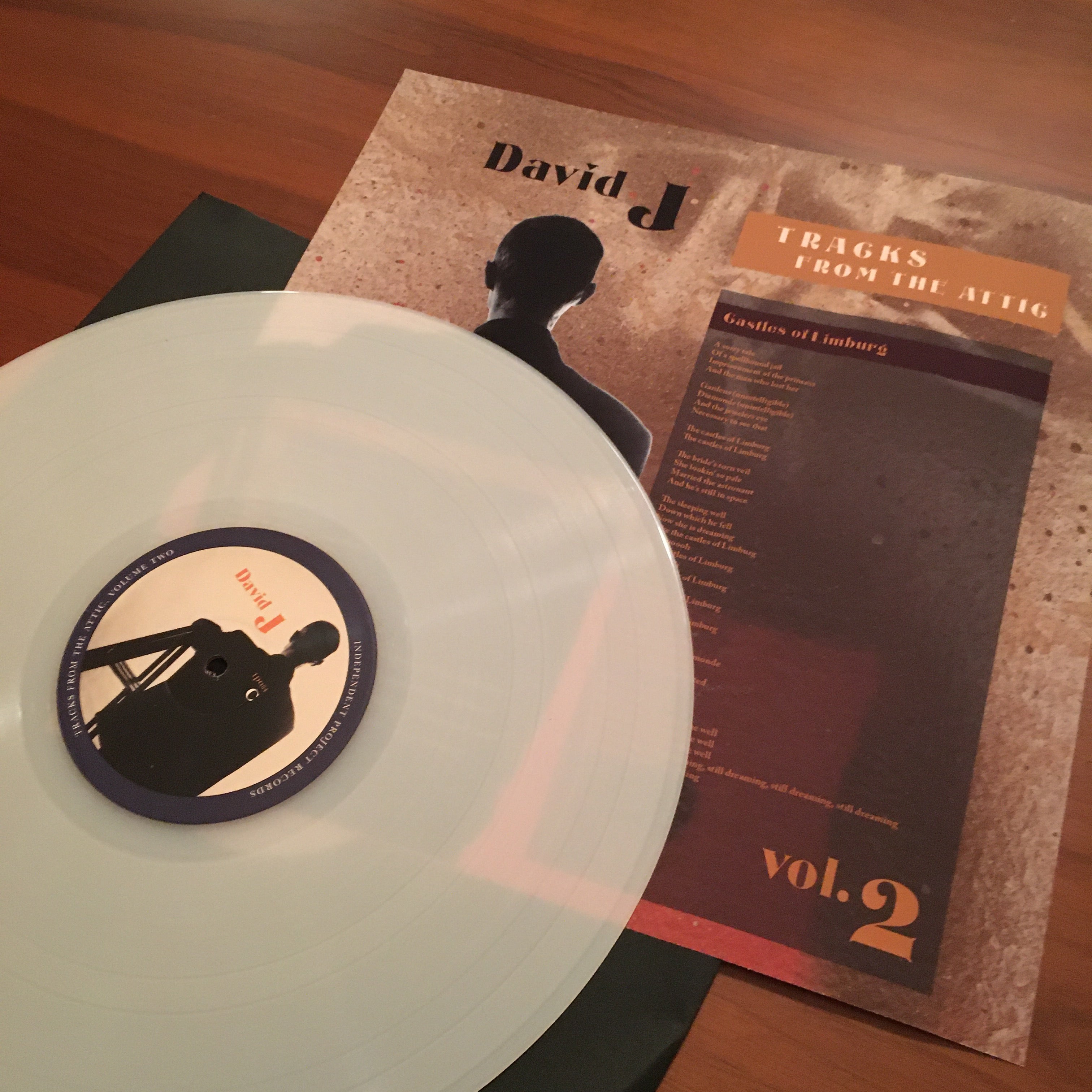DAVID J - Tracks From the Attic -  Supreme Deluxe Vinyl Art edition Box Set image 2