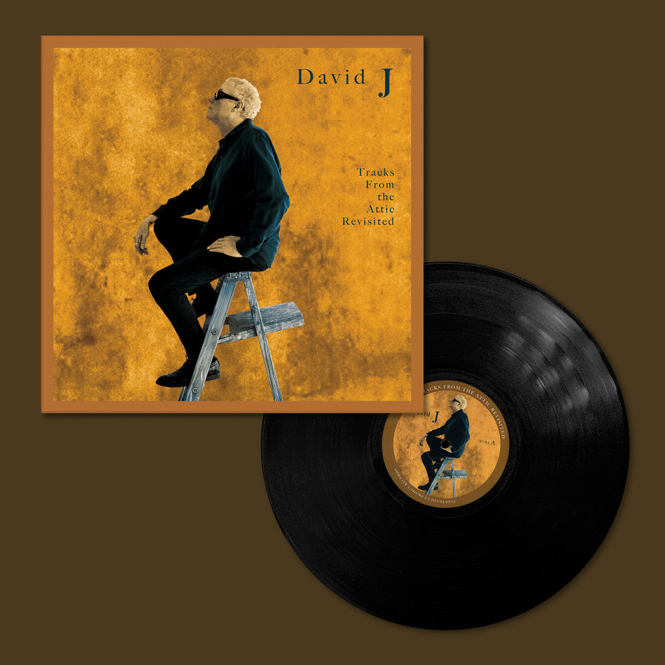 DAVID J - Tracks From the Attic Revisited LP (Black Vinyl)