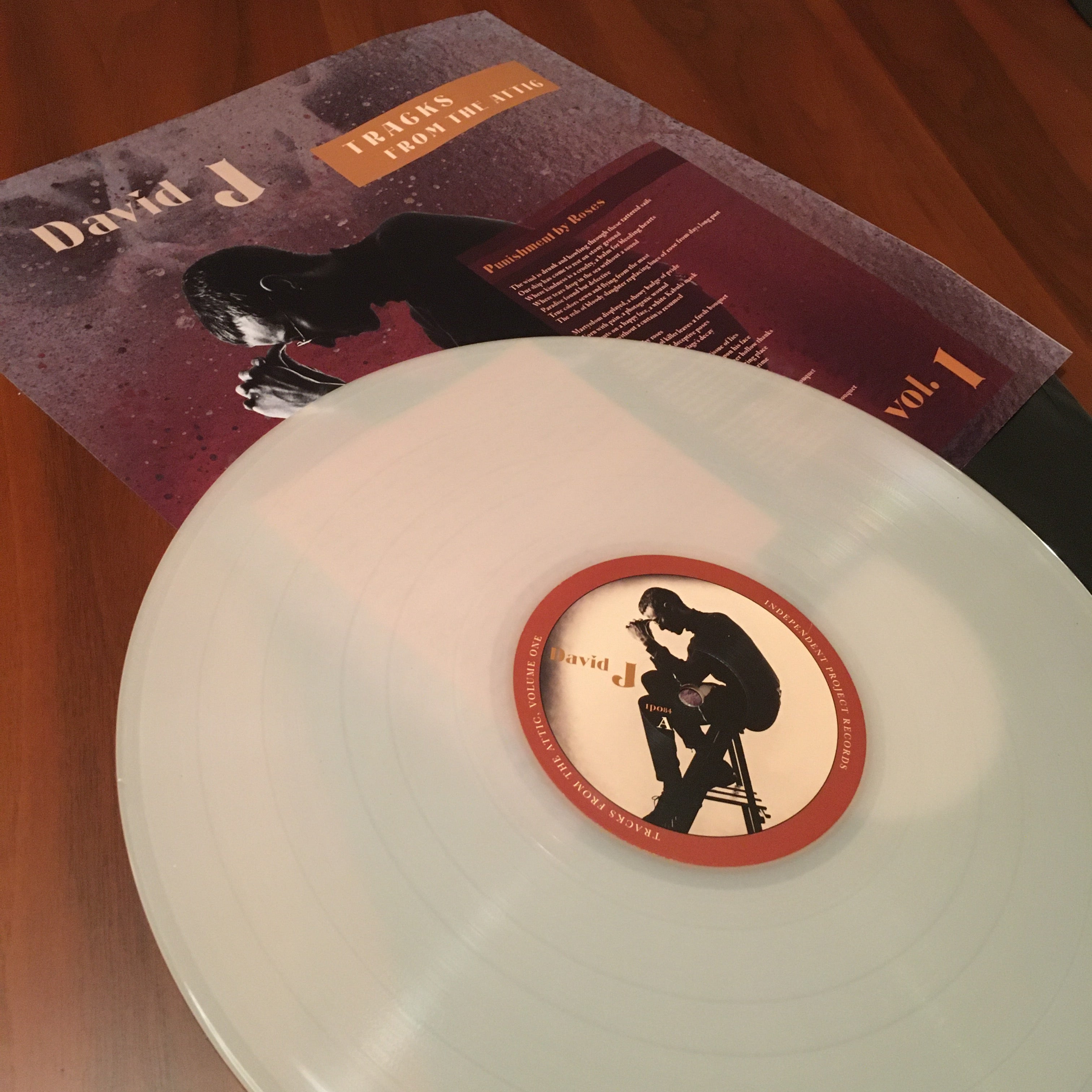 DAVID J - Tracks From the Attic -  Supreme Deluxe Vinyl Art edition Box Set image 1